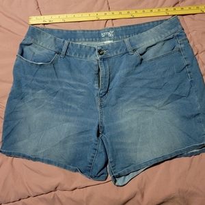 Terra & Sky Jean Shorts